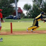 bermuda cricket sept 4 2011 (15)