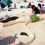 sandcastle bermuda 2011 sept (139)