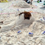 sandcastle bermuda 2011 sept (47)