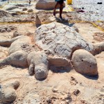 sandcastle bermuda 2011 sept (57)
