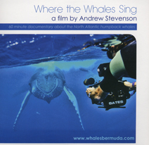 where the whales sing DVV