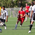 Corona League Bermuda October 15 2011-1-14