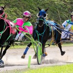 Harness Pony Racing Bermuda October 23 2011-1-11