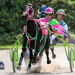 Harness Pony Racing Bermuda October 23 2011-1-15