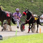 Harness Pony Racing Bermuda October 23 2011-1