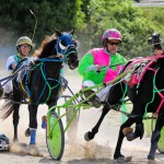 Harness Pony Racing Bermuda October 23 2011-1-16