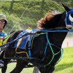 Harness Pony Racing Bermuda October 23 2011-1-17