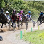 Harness Pony Racing Bermuda October 23 2011-1-18