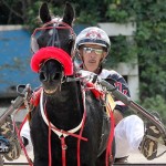 Harness Pony Racing Bermuda October 23 2011-1-2