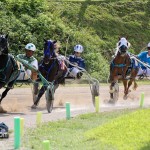Harness Pony Racing Bermuda October 23 2011-1-23