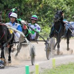 Harness Pony Racing Bermuda October 23 2011-1-5