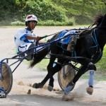 Harness Pony Racing Bermuda October 23 2011-1-8