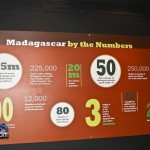 Madagascar Exhibit BAMZ Bermuda November 10 2011-1-11