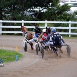 2011 boxing day harness pony racing bermuda (22)