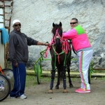 2011 boxing day harness pony racing bermuda (28)