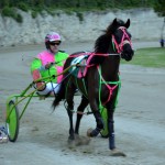 2011 boxing day harness pony racing bermuda (32)