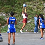 Bermuda Netball Associations Who's Who Tournament January 7 2012-1-12