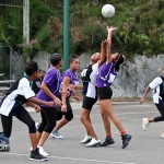 Bermuda Netball Associations Who's Who Tournament January 7 2012-1-2