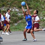 Bermuda Netball Associations Who's Who Tournament January 7 2012-1-22