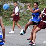 Bermuda Netball Associations Who's Who Tournament January 7 2012-1-23