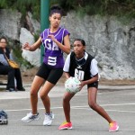 Bermuda Netball Associations Who's Who Tournament January 7 2012-1-3