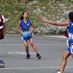 Bermuda Netball Associations Who's Who Tournament January 7 2012-1-6