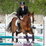 Horse Jumping Bermuda January 22 2011-1-10