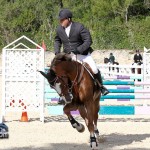 Horse Jumping Bermuda January 22 2011-1-12