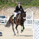 Horse Jumping Bermuda January 22 2011-1
