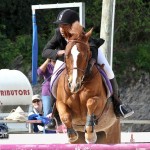 Horse Jumping Bermuda January 22 2011-1-32