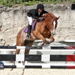 Horse Jumping Bermuda January 22 2011-1-35