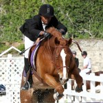Horse Jumping Bermuda January 22 2011-1-37