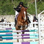 Horse Jumping Bermuda January 22 2011-1-38