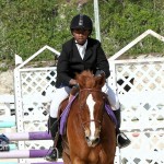 Horse Jumping Bermuda January 22 2011-1-39