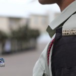 bermuda regiment badge generic