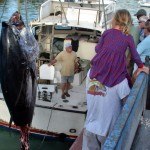 920lb tuna feb 1 2012 (5)