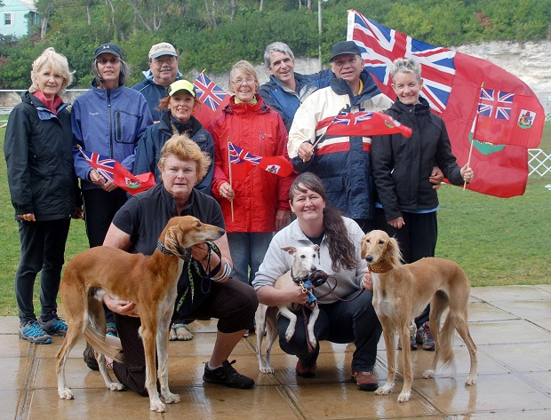 bermuda travel with dog