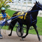 Harness Pony Racing Bermuda February 11 2012-1-10