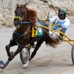 Harness Pony Racing Bermuda February 11 2012-1-3