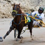 Harness Pony Racing Bermuda February 11 2012-1-5
