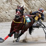 Harness Pony Racing Bermuda February 11 2012-1-6