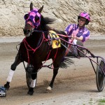 Harness Pony Racing Bermuda February 12 2012-1