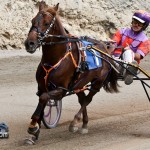 Harness Pony Racing Bermuda February 12 2012-1-2