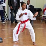 Sensei Roots Invitational Tournament Bermuda February 12 2012-1-14
