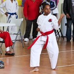 Sensei Roots Invitational Tournament Bermuda February 12 2012-1-15