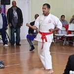 Sensei Roots Invitational Tournament Bermuda February 12 2012-1-17