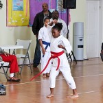 Sensei Roots Invitational Tournament Bermuda February 12 2012-1-3