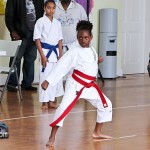 Sensei Roots Invitational Tournament Bermuda February 12 2012-1-4