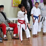 Sensei Roots Invitational Tournament Bermuda February 12 2012-1-6