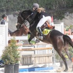 Hinson Hall Jumper Show Horses Bermuda March 18 2012-1-11